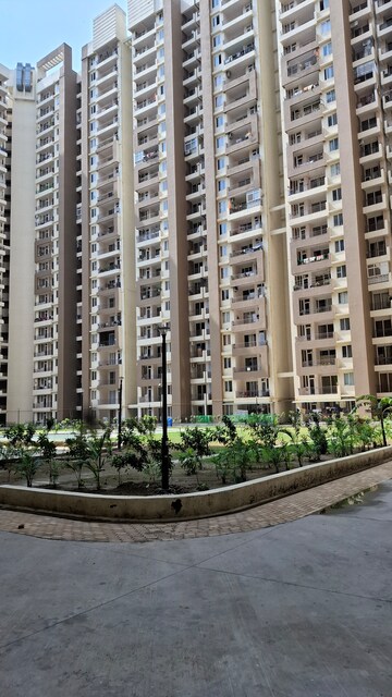 3 BHK Apartment – Exterior View View at Amrapali Golf Homes, Sector 4 Greater Noida - for Sale