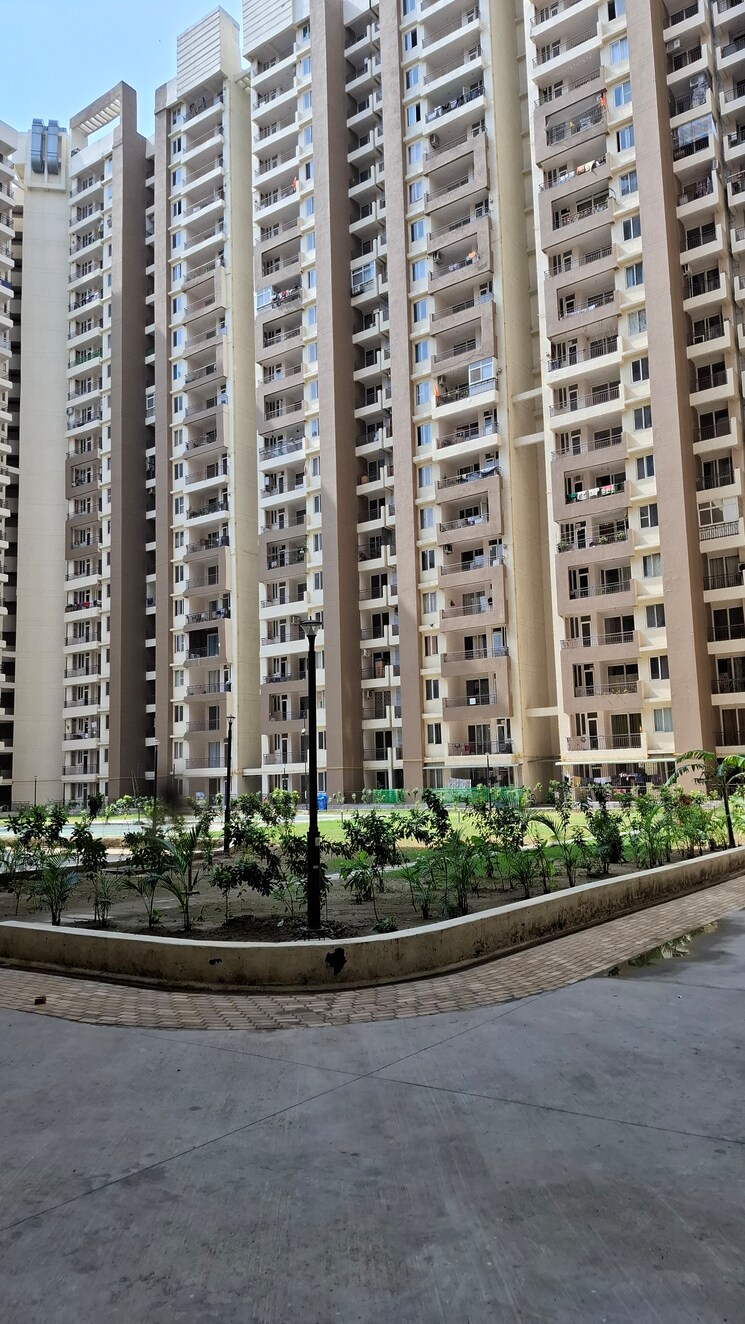 Exterior View, amrapali-golf-homes 3 Bedroom 1595 Sq.Ft. Apartment In Sector 4 Greater Noida Greater Noida 8588877