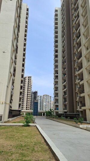 3 BHK Apartment – Exterior View View at Amrapali Golf Homes, Sector 4 Greater Noida - for Sale