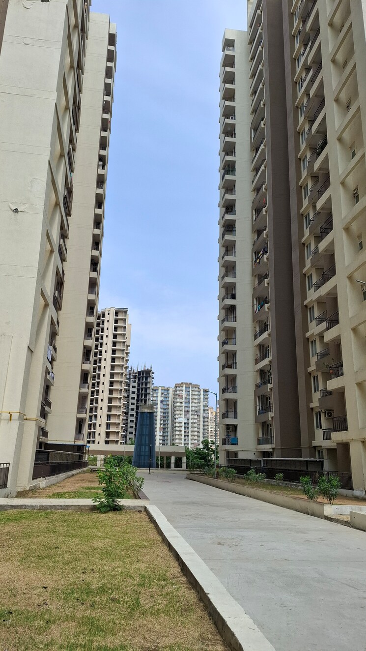 Exterior View, amrapali-golf-homes 3 Bedroom 1595 Sq.Ft. Apartment In Sector 4 Greater Noida Greater Noida 8588877