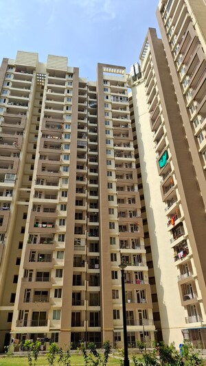 3 BHK Apartment – Exterior View View at Amrapali Golf Homes, Sector 4 Greater Noida - for Sale