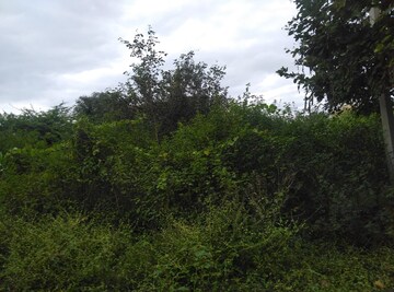  Plot For Sale in Nizampet