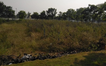 Plot For Sale in Narsingi