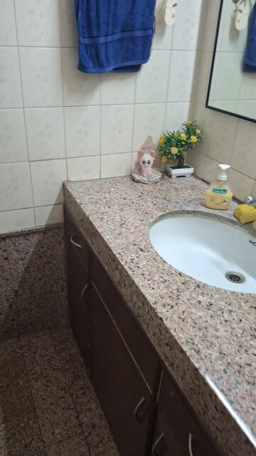 Bathroom in 1 BHK Apartment at Eden Garden CHS, Viman Nagar – for Rent