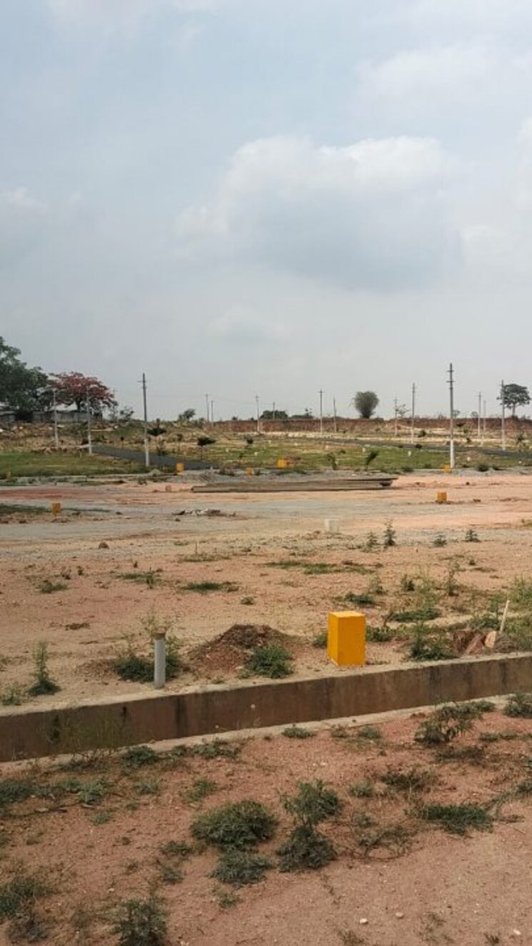 undefined, bannerghatta  1200 Sq.Ft. Plot In Bannerghatta Bangalore 8589314