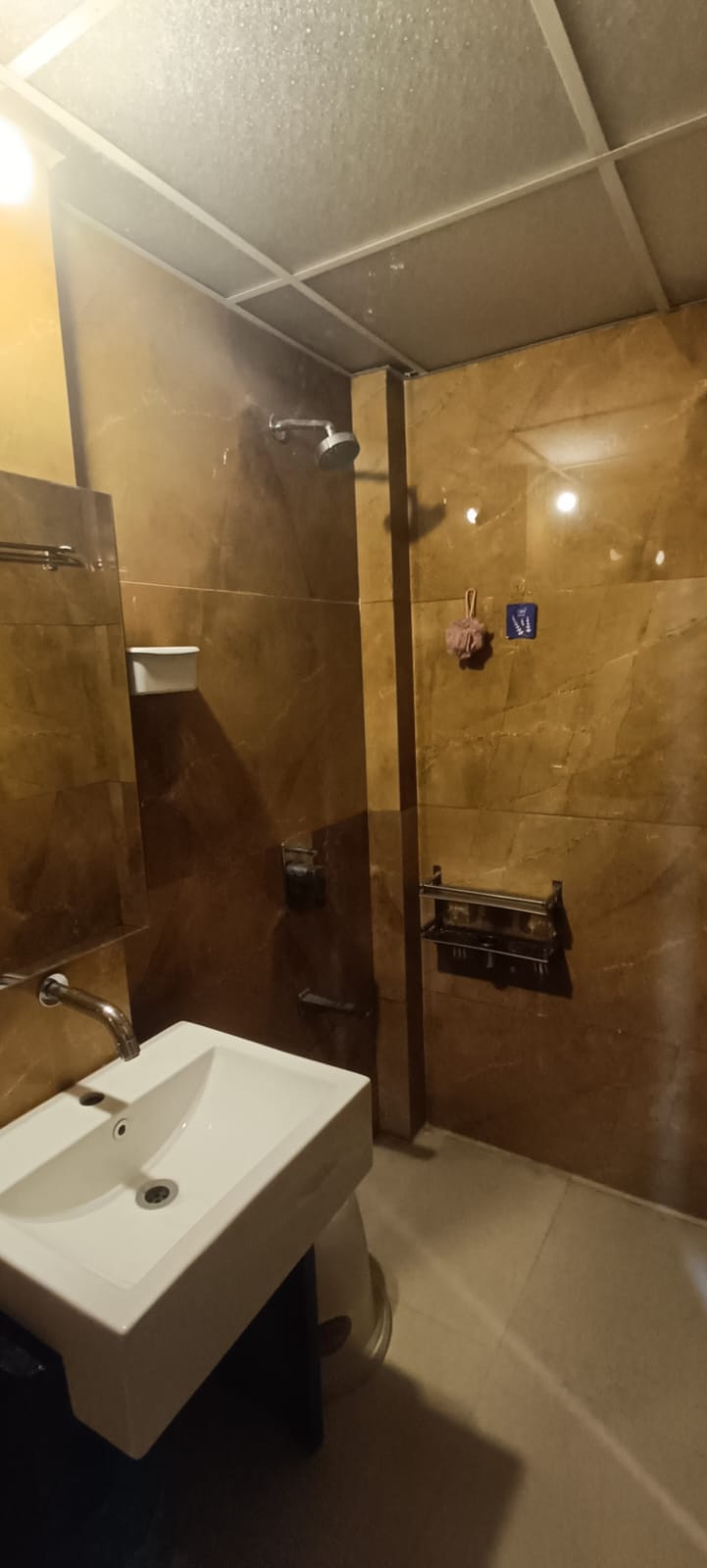 2 BHK + Extra Room Apartment For Rent in Camelot Society