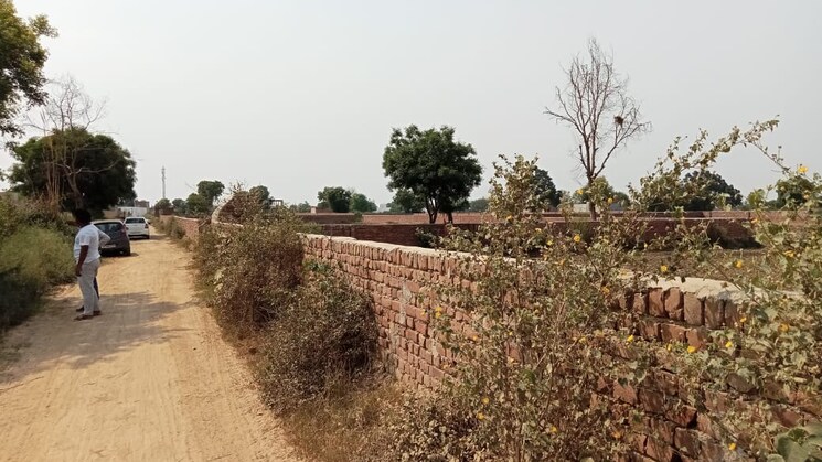 undefined, jewar  117 Sq.Yd. Plot In Jewar Greater Noida 8590160