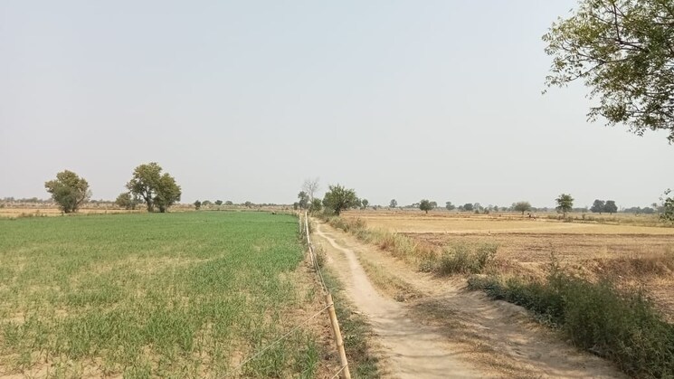 undefined, jewar  117 Sq.Yd. Plot In Jewar Greater Noida 8590160