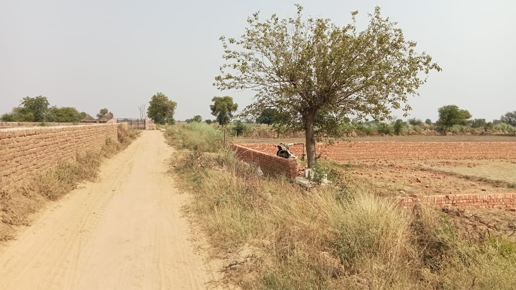 Plot For Sale in Jewar