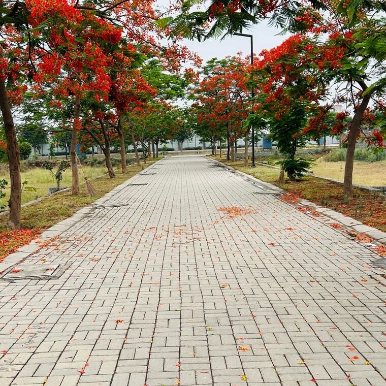 Balcony, sector 63  130 Sq.Yd. Plot In Sector 63 Sonipat 8590198