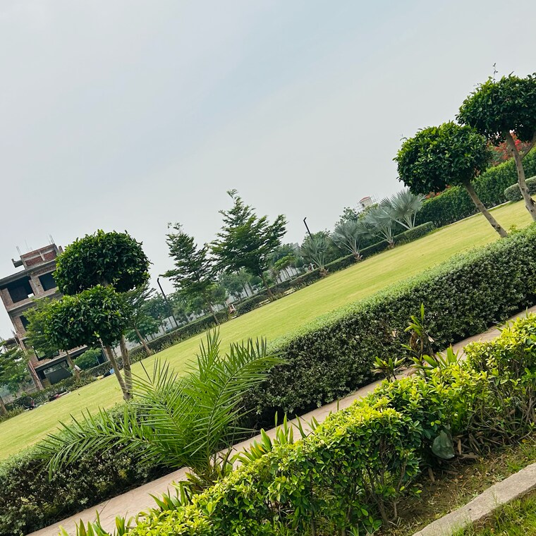 Garden, sector 63  130 Sq.Yd. Plot In Sector 63 Sonipat 8590198