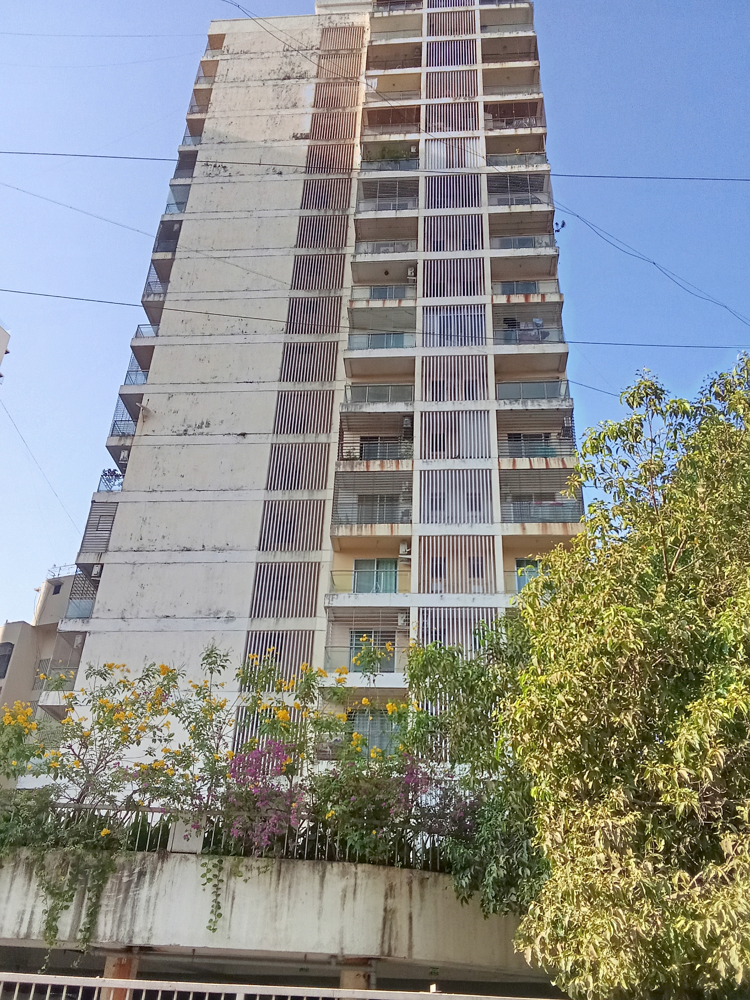 2 BHK Apartment For Rent in Snowdrop CHS
