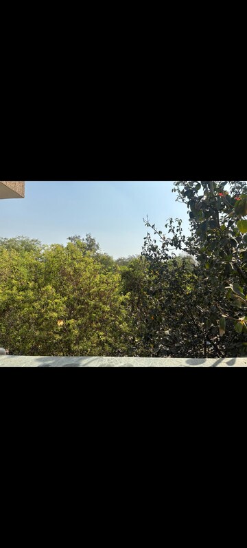 1 BHK Builder Floor – Garden View at Masjid Moth - for Rent