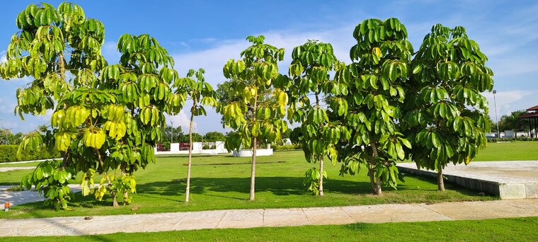 Garden, shadnagar  200 Sq.Yd. Plot In Shadnagar Hyderabad 8590506