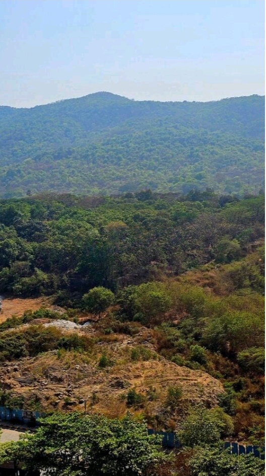 2 BHK + Pooja Room Apartment For Rent in Coral Heights