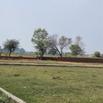100 Sq.Yd. Plot in Rise Residency