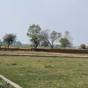  Plot For Sale in Sikandrabad