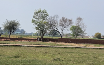 Plot For Sale in Sikandrabad