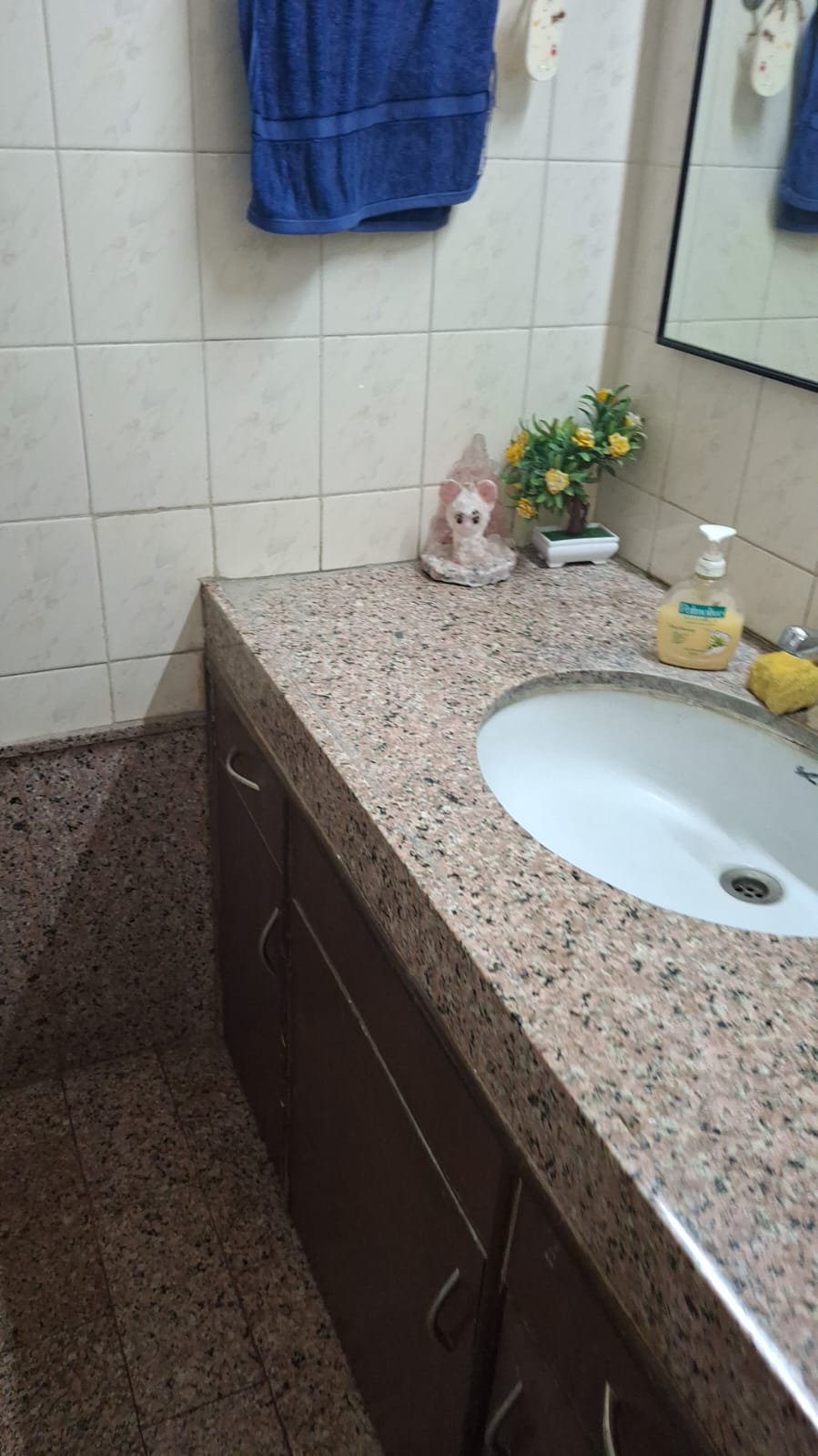 1 BHK + Pooja Room Apartment For Sale in Viman Pearl