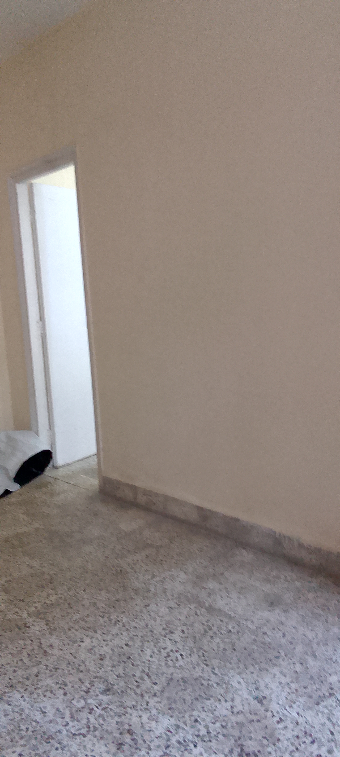 2 BHK Apartment For Rent in Panom Park