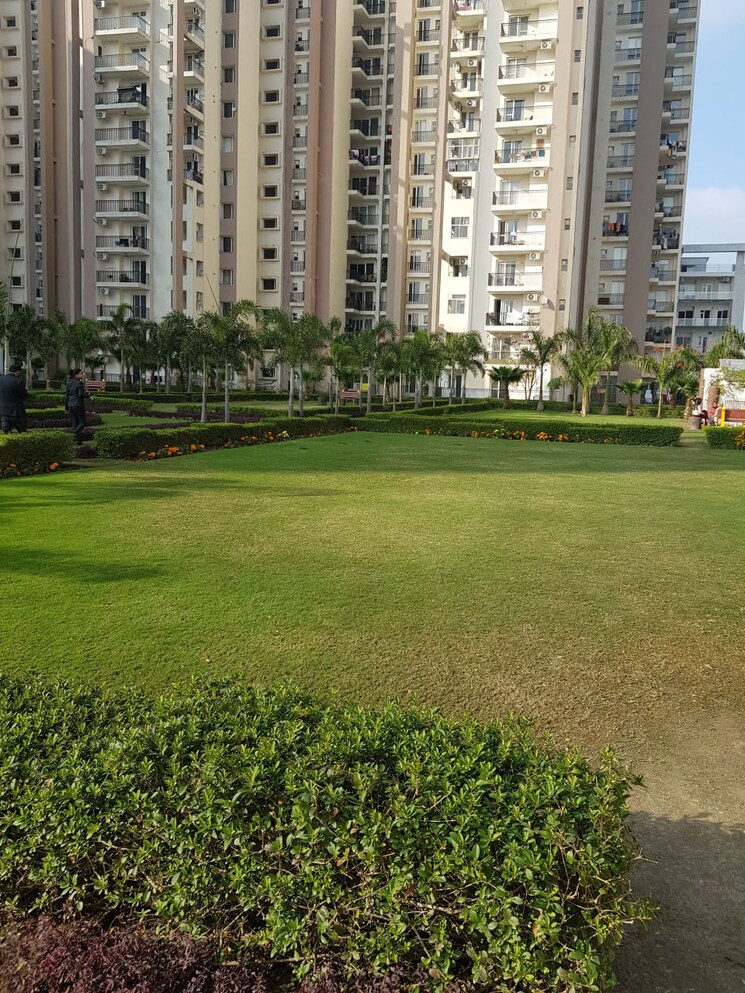Garden, motiaz-royal-citi 3 Bedroom 1460 Sq.Ft. Apartment In Ambala Highway Zirakpur 8590933