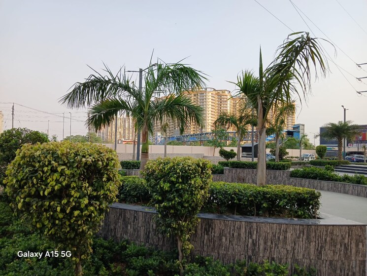 Garden, shri-sai-tower-haibatpur  50 Sq.Yd. Plot In Gaur City 2 Greater Noida 8590947