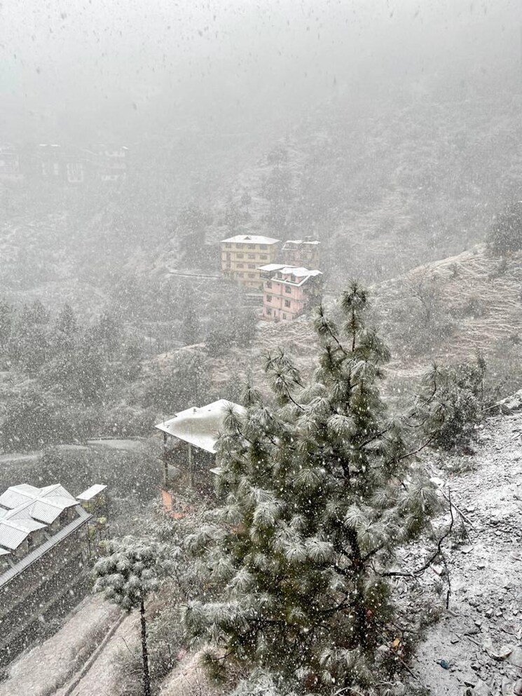 Exterior View, mehli 3 Bedroom 1650 Sq.Ft. Apartment In Mehli Shimla 8590964