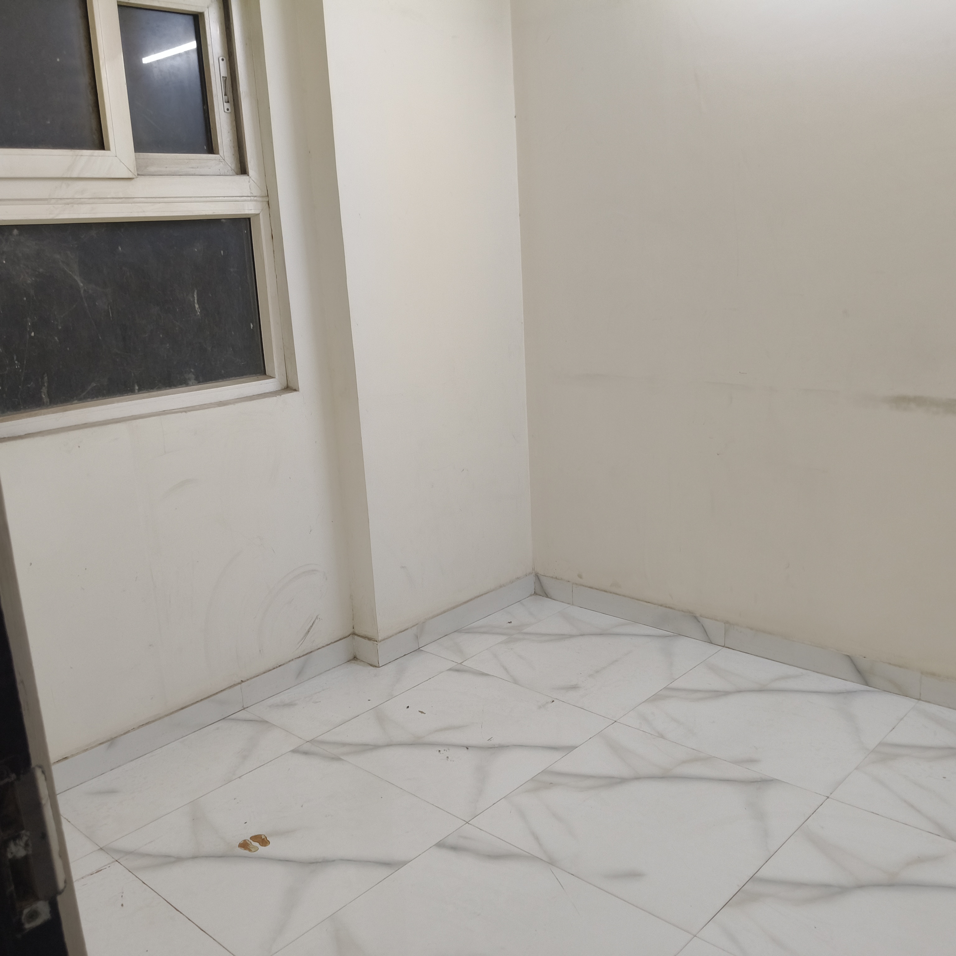 2 BHK + Study Room Apartment For Rent in Geotech Pristine Avenue