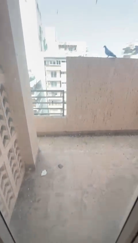 4 BHK Apartment For Sale in BPTP Park 81