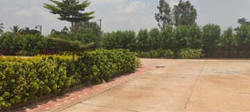  Plot – Exterior View View at Anugondahalli - for Sale