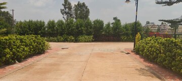  Plot – Exterior View View at Anugondahalli - for Sale