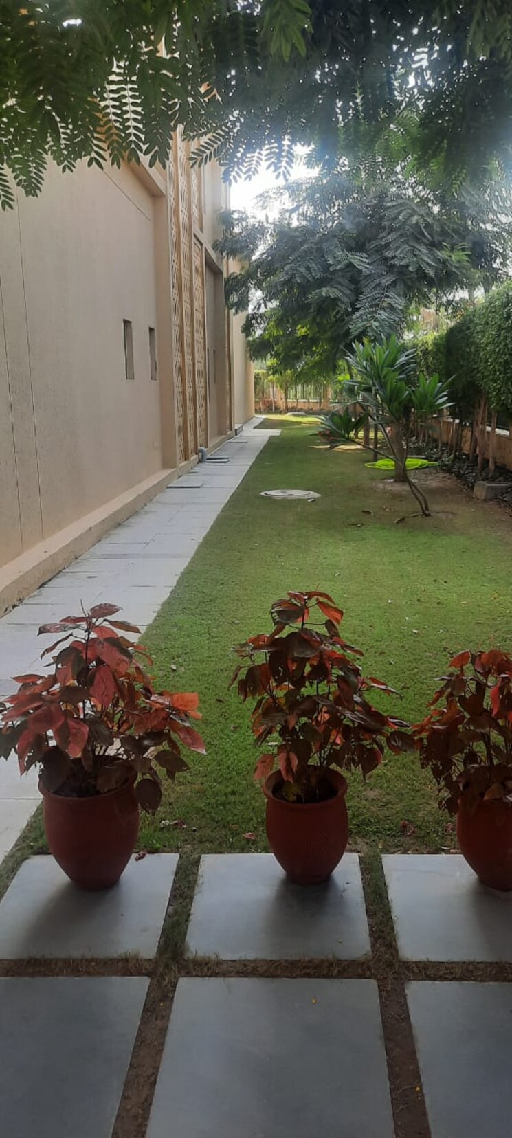 Garden, sushma-grande-nxt 3 Bedroom 1475 Sq.Ft. Apartment In Lohgarh Zirakpur 8591480