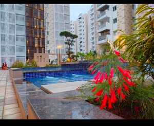 Swimming Pool in 3 BHK Apartment at Ambience Courtyard, Manikonda – for Sale