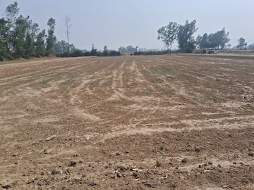 Plot Area in  Plot at Chinhat – for Sale