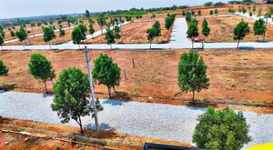  Plot For Sale in CBPL Mount Attalia, Jewar