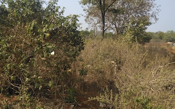 Plot For Sale in Ghatkesar