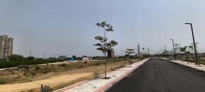 Plot Area in  Plot at Skywhales Vienna Greens, Sector 99a – for Sale