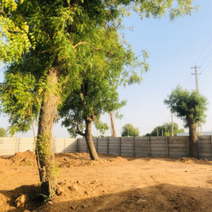 Plot Area in  Plot at Science City – for Sale