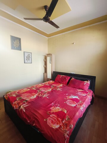 1 BHK Apartment For Rent in Sunny Enclave