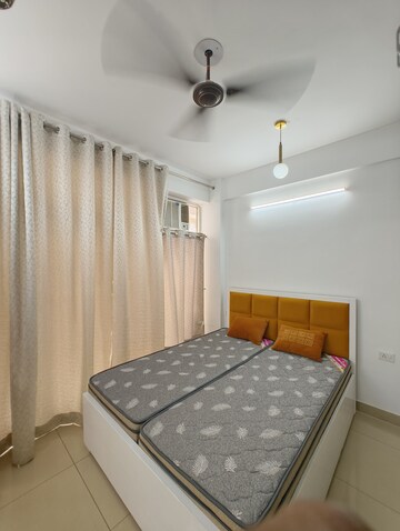 2 BHK Apartment For Rent in AVL 36 Gurgaon, Sector 36