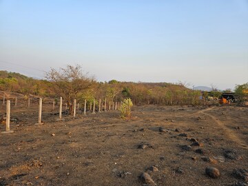  Land For Sale in Mangaon