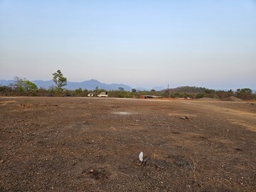 Plot Area in  Land at Mangaon – for Sale