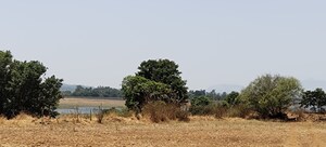 Plot Area in  Plot at Igatpuri – for Sale