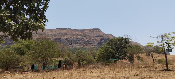 undefined, igatpuri  1 Acre Plot In Igatpuri Nashik 8593321
