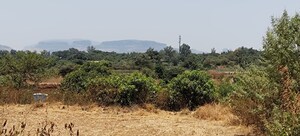 Plot Area in  Plot at Igatpuri – for Sale