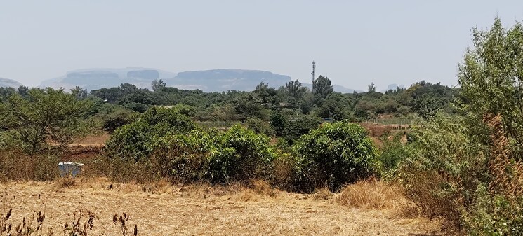 undefined, igatpuri  1 Acre Plot In Igatpuri Nashik 8593321