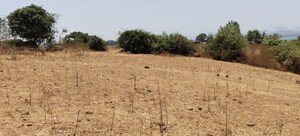  Plot For Sale in Igatpuri