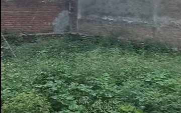 Plot For Sale in Kalindi Kunj