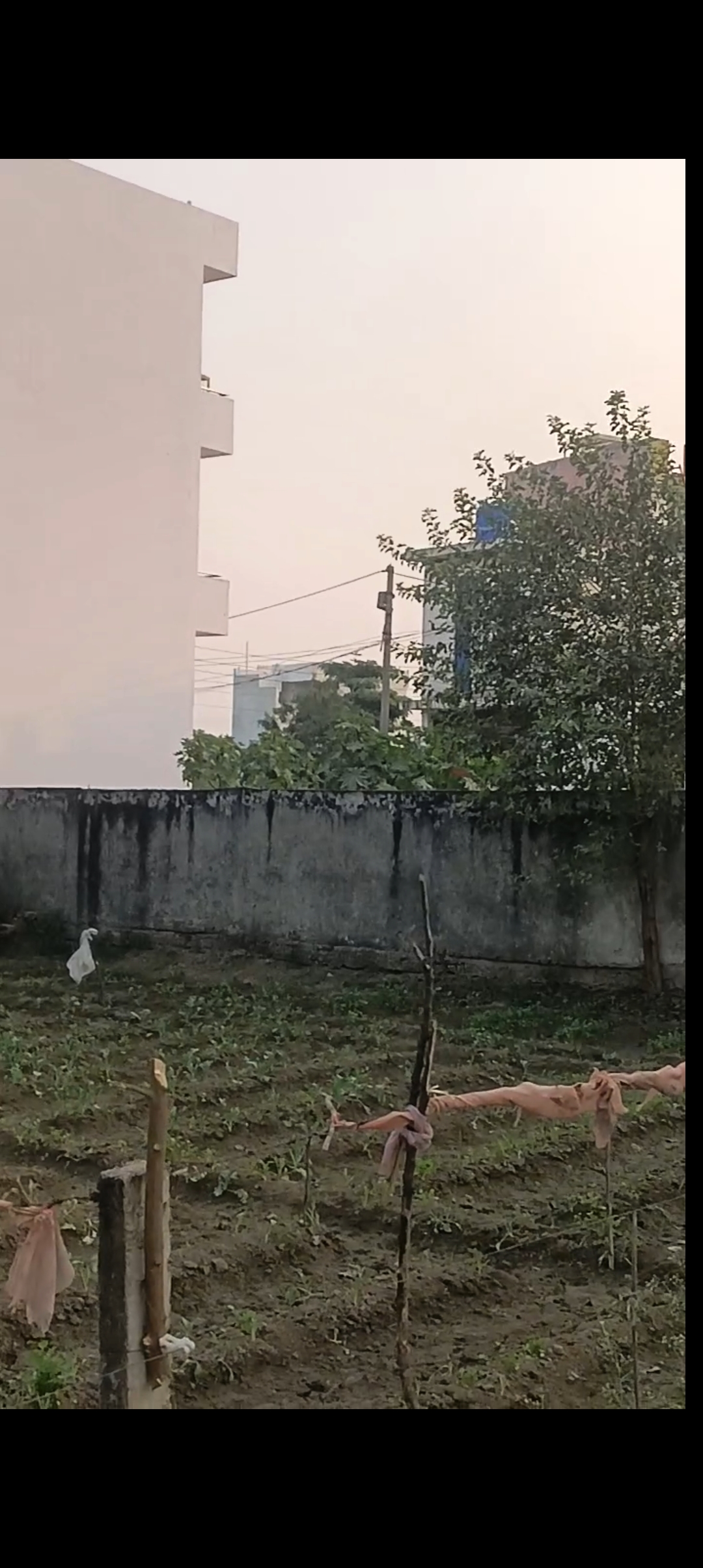 Plot For Sale in Char Number Bijali Ghar 