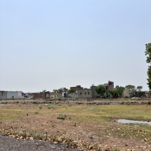 Plot Area in  Plot at Sector 143 – for Sale